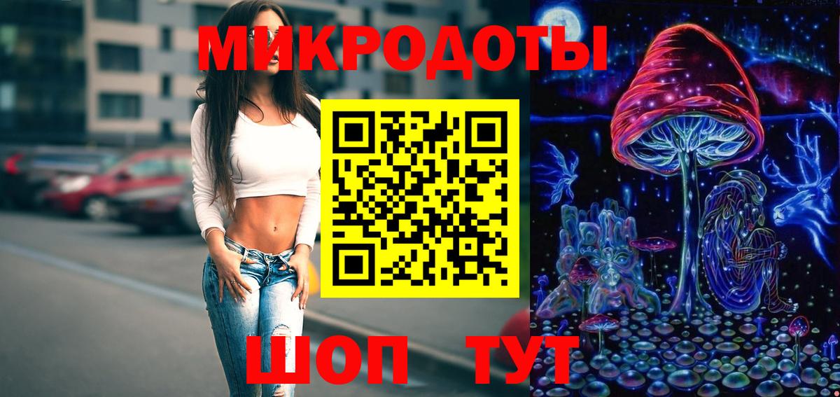 Псилоцибиновые грибы Psilocybine cubensis Ставрополь