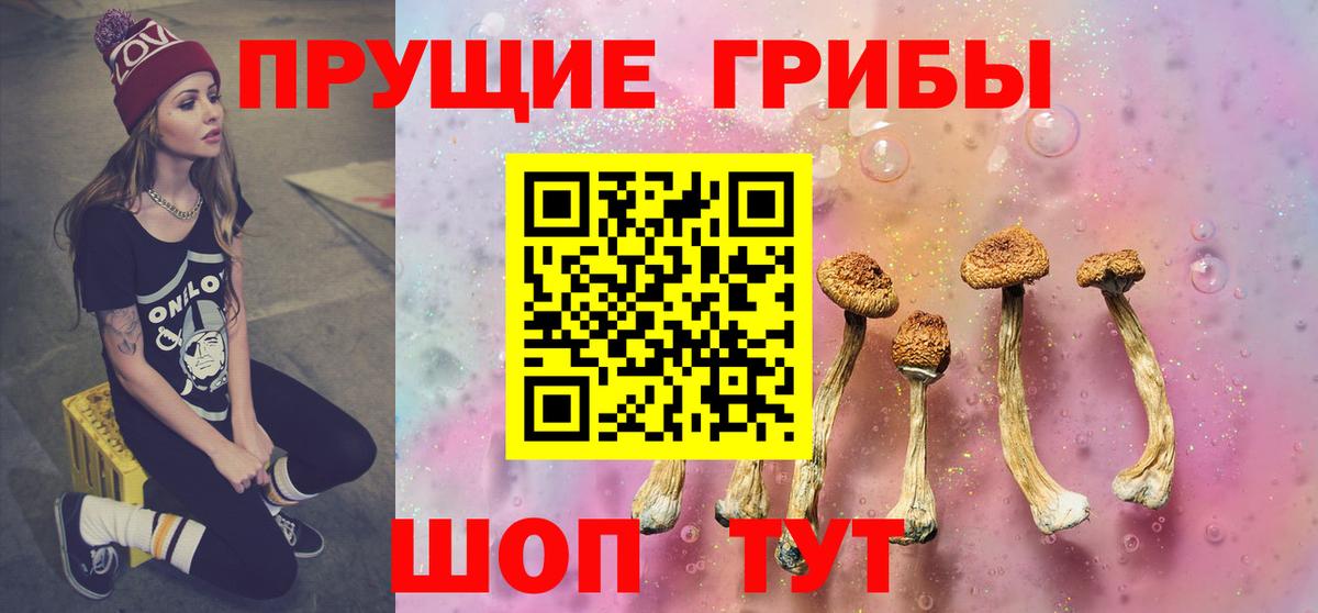 Ставрополь  Псилоцибиновые грибы прущие грибы  Псилоцибиновые грибы GOLDEN TEACHER  Вход с VPN 